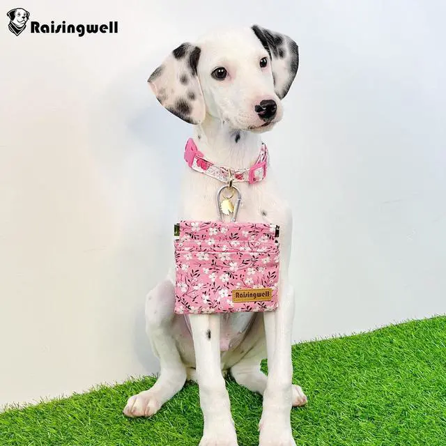 Alt view image 5 of 6 - Dog Treat Pouch, Small Cotton Pocket Sized Training Holder, Hand Free Walking Fanny Bag with Carabiner, Self-Closing Pet Feed Snack Reward, Behavior Aids for Puppy Travel or Outdoor Use