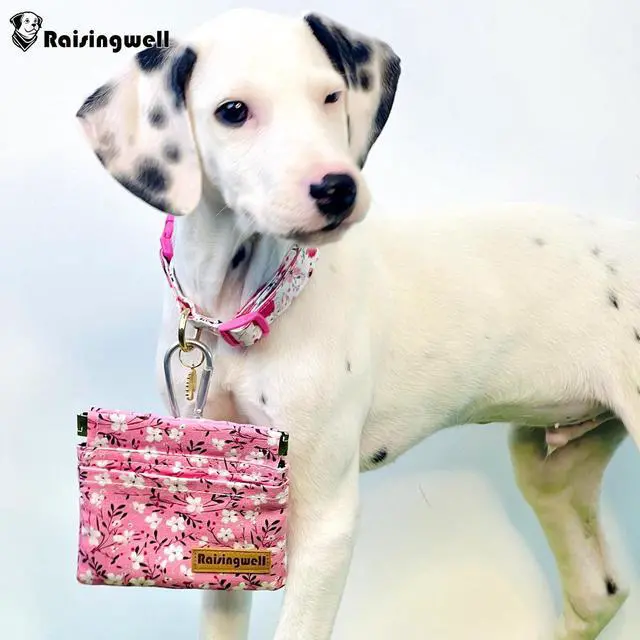 Alt view image 6 of 6 - Dog Treat Pouch, Small Cotton Pocket Sized Training Holder, Hand Free Walking Fanny Bag with Carabiner, Self-Closing Pet Feed Snack Reward, Behavior Aids for Puppy Travel or Outdoor Use
