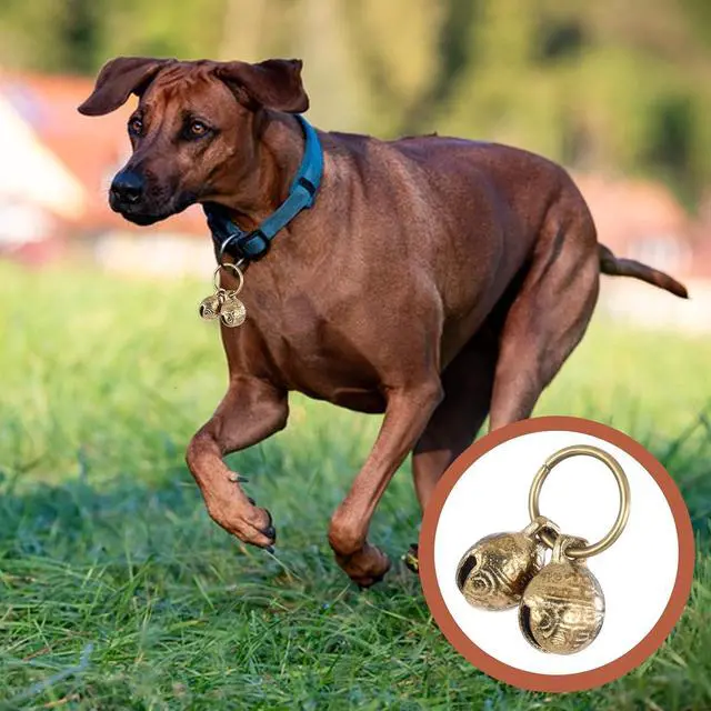 Alt view image 7 of 7 - Copper Bell for Dog Collar, 4 PCS Brass Dog Bells Extra Loud Collar Bell for Pet Tracking Anti Lost Training Pets Pendant Accessories Anti Theft Bells for Little Dogs & Cats