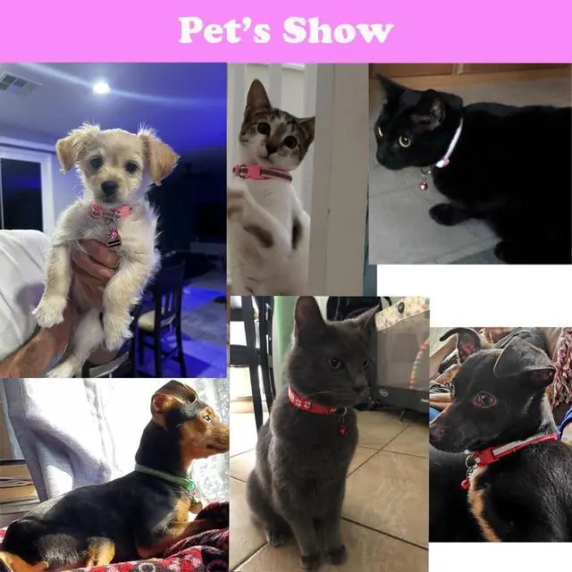 Alt view image 2 of 7 - Black XS Dog Collar with Bell, 2-Pack Reflective XXS Puppy Cat Collars | Soft Nylon Adjustable Buckle for XXS XSmall Extra Small X-Small Tiny Boy Girl Pets Female Male Kitten Yorkie Teacup Chihuahua