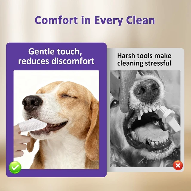 Alt view image 5 of 7 - Probiotic Pet Dental Finger Wipes, Daily Oral Care, 50 Count