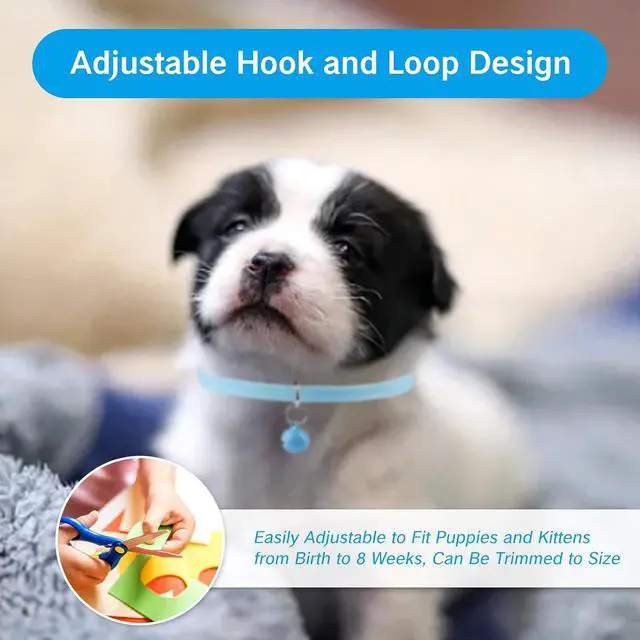 Alt view image 5 of 7 - 15Pcs Kitten Collar with Bell Puppy Collars for Newborn Teacup Dog Small Pet Extra Mini Cat Collars Adjustable Soft Plush Double Sided Colar for Kittens Puppies with Bells Length 13.8"
