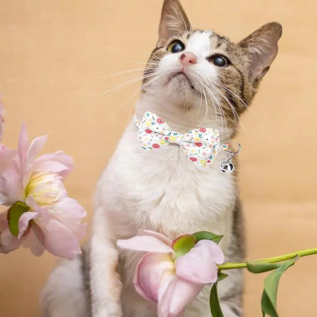 Alt view image 7 of 7 - Summer Cat Collar Breakaway with Bells and Bowtie, 2 Pack Cute Leather Cat Bandana Collar with Safety Buckle Adjustable Size for Small Kitten Boys Girls, White+Orange Flower