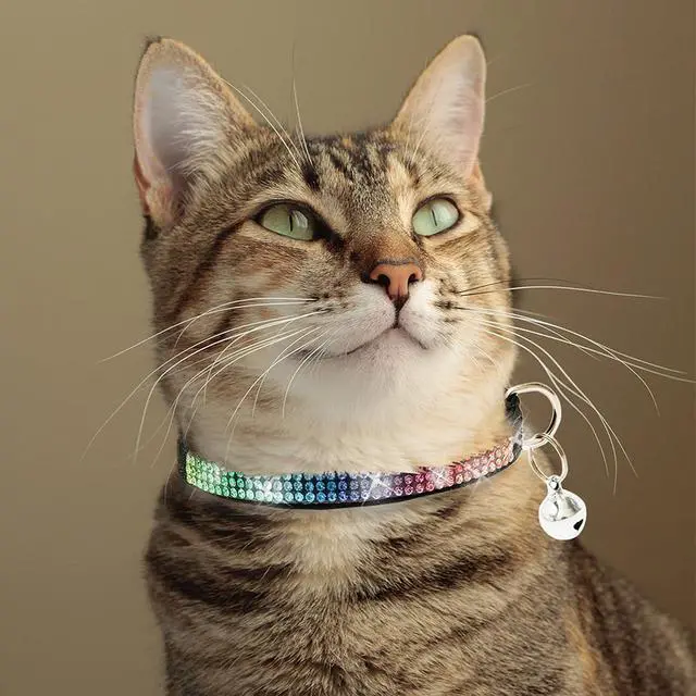 Alt view image 5 of 7 - Breakaway Cat Collar with Bells, 3 Pack Rhinestone Pet Collars | Adjustable Bling Cute Adjustable Collars Pet Accessories for Girl & Boy Cats, Kitten, Puppy