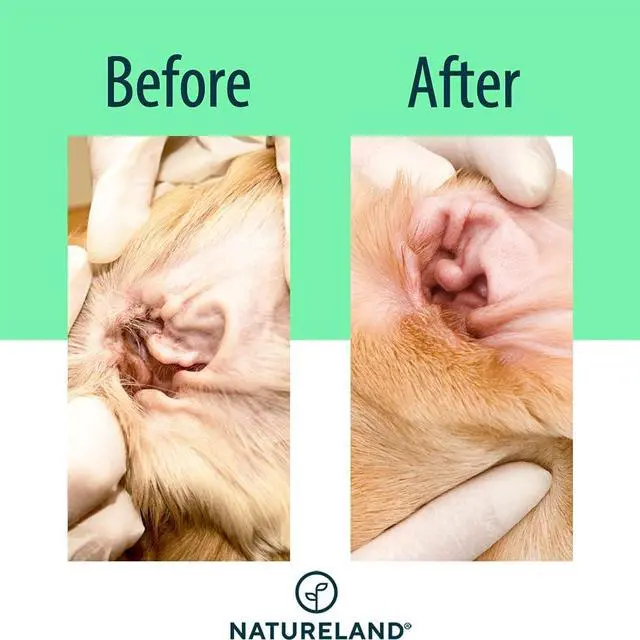 Alt view image 5 of 6 - Dog Ear Wipes, Extra Large Otic Cleaning Pads, 150 Count | Gently removes dirt, wax and debris and helps reduce ear odor in dogs and cats; soft textured pads for weekly grooming