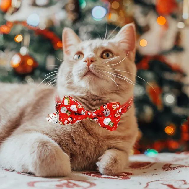 Alt view image 5 of 7 - Mieemiu 2 Pack Christmas Cat Collar with Bow Tie, Adjustable Breakaway Collar with Bell for Cats and Kittens, Santa Claus and Red Snowman Holiday Design
