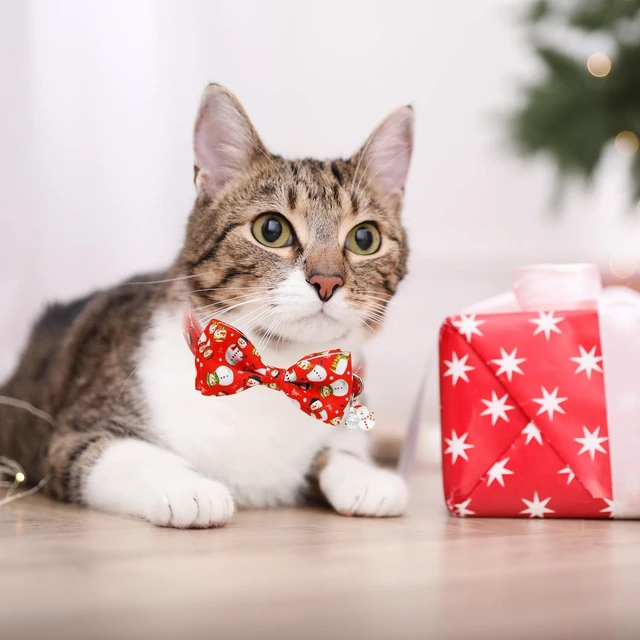 Alt view image 6 of 7 - Mieemiu 2 Pack Christmas Cat Collar with Bow Tie, Adjustable Breakaway Collar with Bell for Cats and Kittens, Santa Claus and Red Snowman Holiday Design