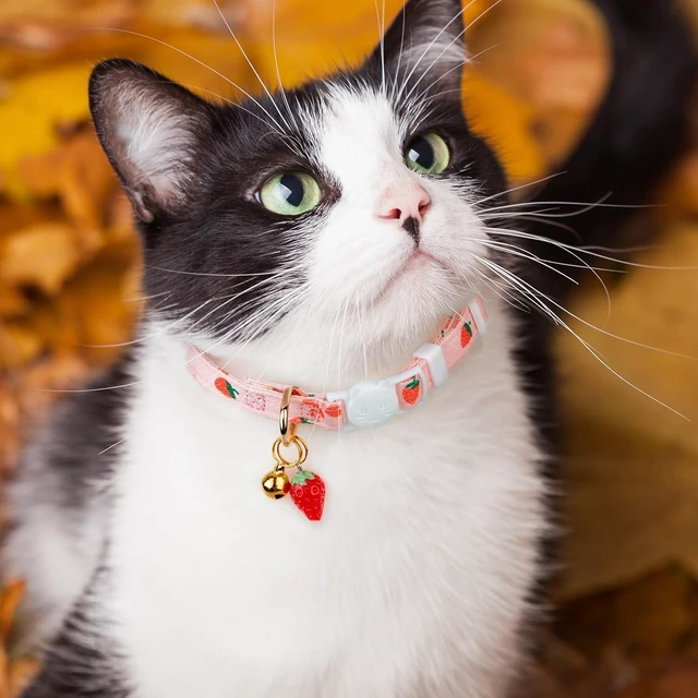 Alt view image 6 of 7 - 2 Pack Cotton Cat Collar Pink Strawberrie White Heart Cute Kitten Collar | Breakaway Breathable Soft material With cute pendants with Bell