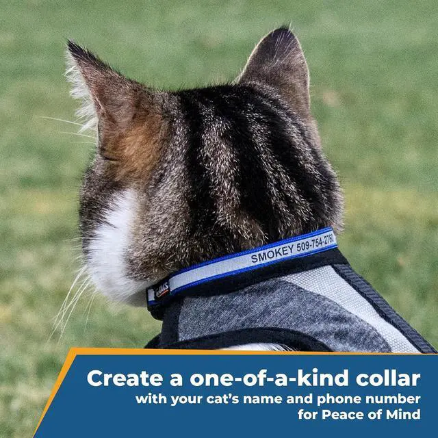 Alt view image 2 of 7 - Personalized Reflective Cat Collars, Engraved Custom Cat Collar | Name and Phone Identification, Breakaway Collar with Safety Release Buckle and Bell, Adjustable for Cats and Kitten, (Blue)