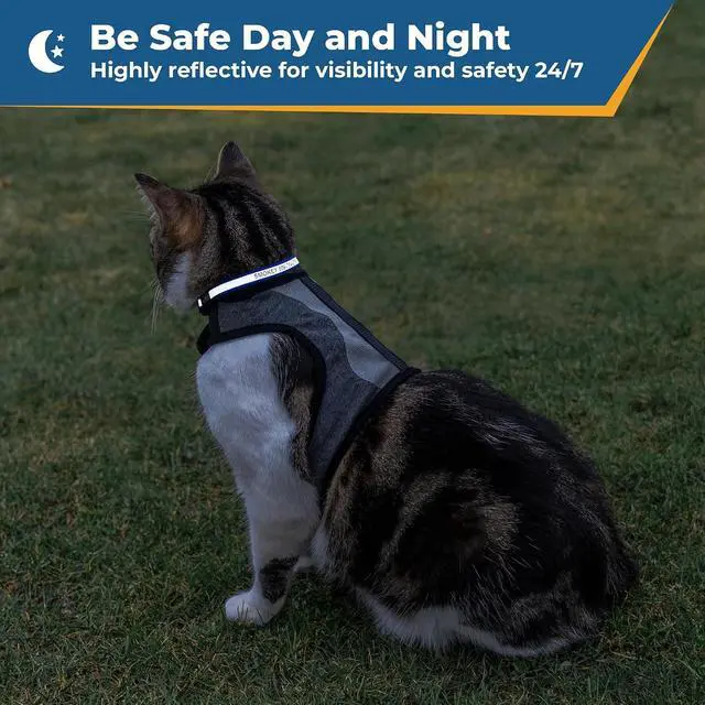 Alt view image 4 of 7 - Personalized Reflective Cat Collars, Engraved Custom Cat Collar | Name and Phone Identification, Breakaway Collar with Safety Release Buckle and Bell, Adjustable for Cats and Kitten, (Blue)