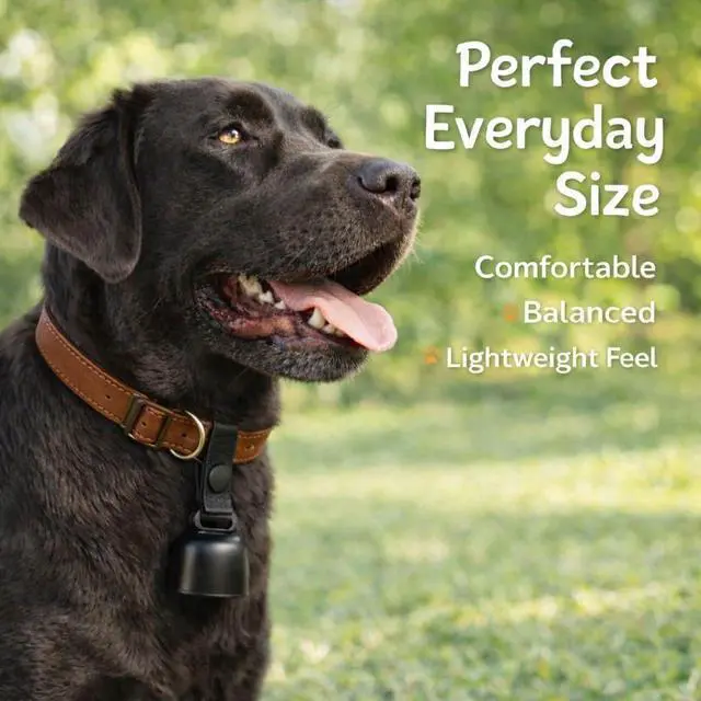 Alt view image 7 of 7 - All-Black Dog Bell Set with Genuine Leather Strap, Matte Black Loud Jingle Bell, High-End Stylish Design, Quick Clip, Fits Most Dog Collars, Includes 2 Bells & 2 Pet ID Trackers