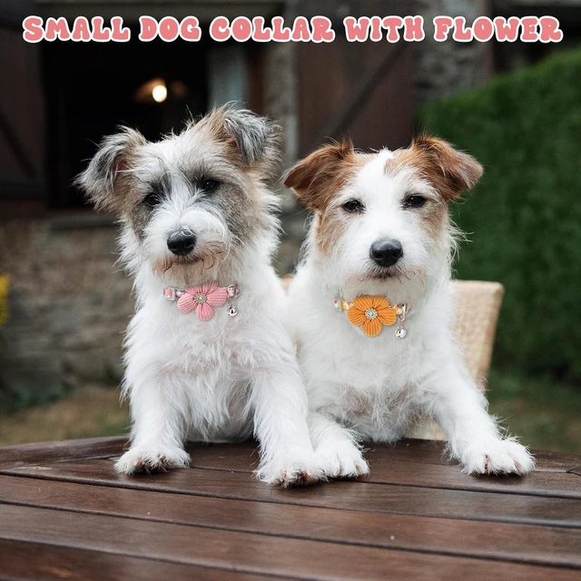 Alt view image 5 of 7 - 2Pcs Small Dog Collar with Flower Puppy Collar for Girl Dog Collars for Small Dogs Cute Unique Collars with Bell Distinctive Patterns Adjustable Length (Pink Yellow)