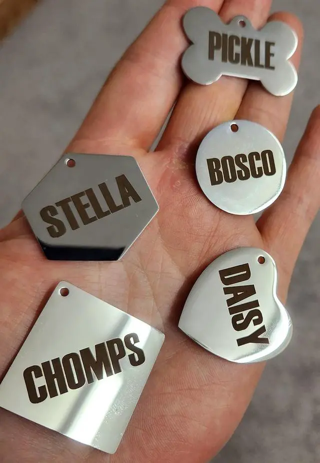 Alt view image 2 of 7 - Stainless Steel ID Dog Tags Engraved for Pets Personalized for Cat or Dog Collar Bold Font for Safety (Large, Bone)