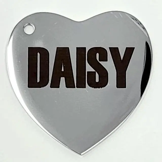 Alt view image 5 of 7 - Stainless Steel ID Dog Tags Engraved for Pets Personalized for Cat or Dog Collar Bold Font for Safety (Large, Bone)