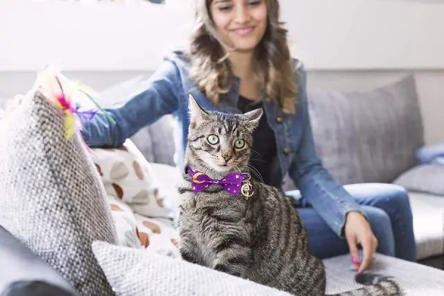 Alt view image 7 of 7 - 2 PCS Breakaway Cat Collar with Bow Tie and Bell Golden Moon Glowing Star in The Dark for Kitten(Black&Purple)