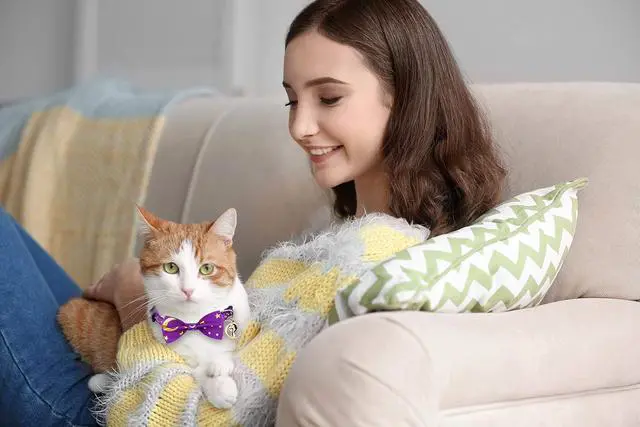 Alt view image 3 of 7 - 2 PCS Breakaway Cat Collar with Bow Tie and Bell Golden Moon Glowing Star in The Dark for Kitten(Black&Purple)
