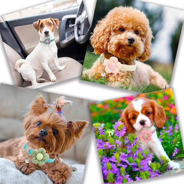 Alt view image 7 of 7 - Small Dog Collar with Flower, Puppy Collars XS Dog Collars for Small Dogs with Bell for Girl Boy Little Dog (Pink + White)