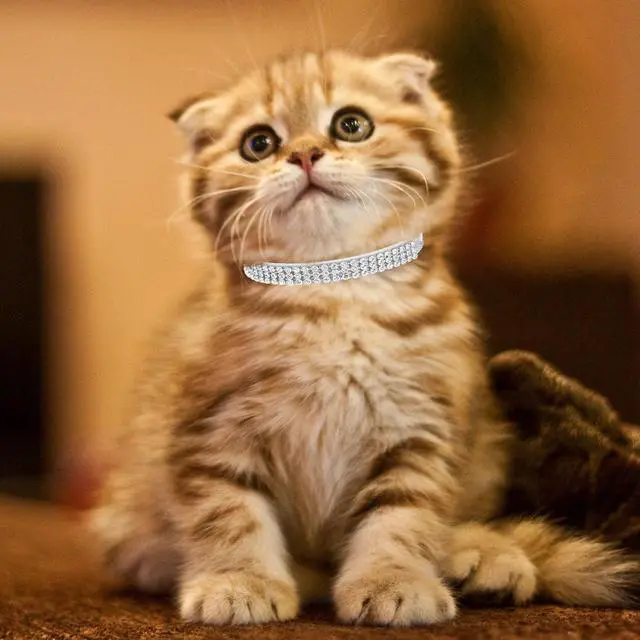 Alt view image 7 of 7 - Basic Adjustable Cat Collar with Bling Diamond and Double Bells, for Kitten and Small Puppy, Fashion and Shining Dog Rhinestone Collars, 6-8 in, Silver