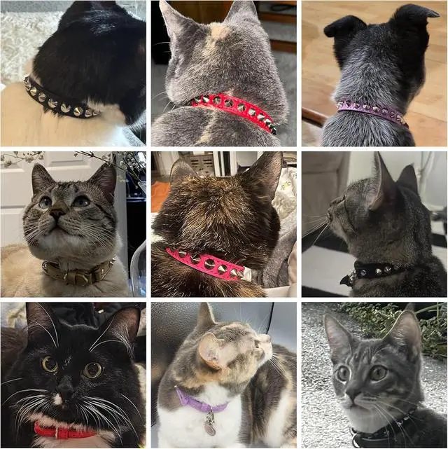 Alt view image 5 of 7 - Leather Cat Collar, Breakaway Kitten Collars with Bell, Black | Spiked & Studded, Cute for Boy Girl Small Pets, Goth Rivet Style, Safety Elastic Belt, Adjustable Buckle, Skull Charm, 8-12in