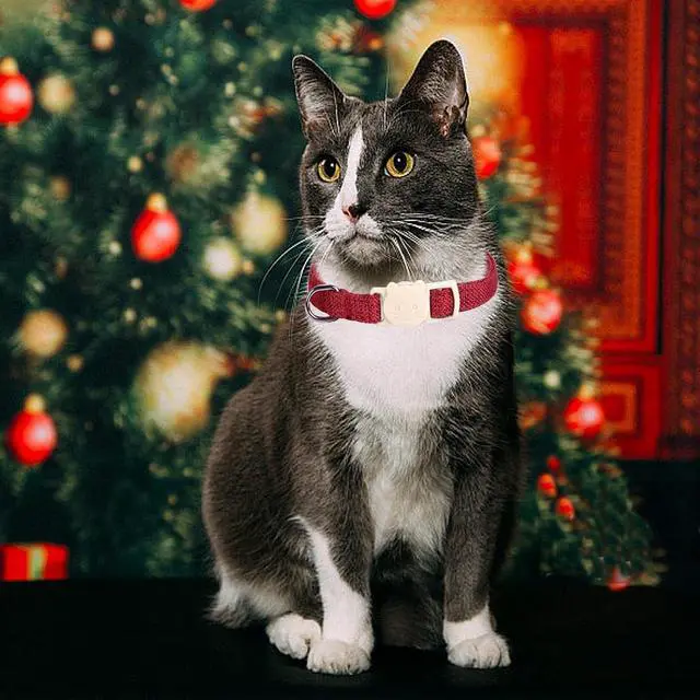 Alt view image 5 of 7 - Red and Green Linnet Cat Collar(2-Pack) Breakaway | Safety Buckle, Kitten and Bell Pendant, Adjustable,Linen-look Material, for Cats and Small Pets