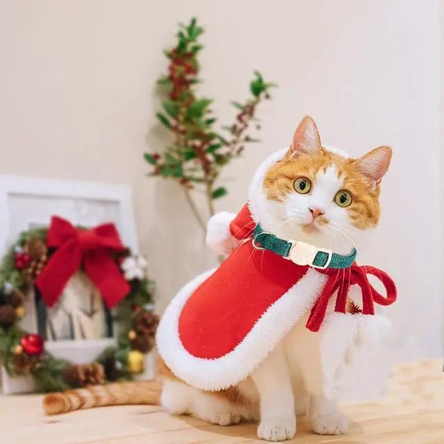 Alt view image 6 of 7 - Red and Green Linnet Cat Collar(2-Pack) Breakaway | Safety Buckle, Kitten and Bell Pendant, Adjustable,Linen-look Material, for Cats and Small Pets