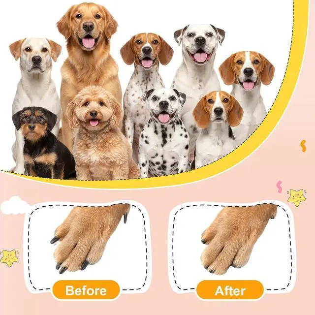 Alt view image 5 of 7 - Dog Nail File with 6Pcs Replaceable Filing Disc, Dog Scratch Board for Safe and Easy Nail Care, Dogs Nails Scratch Board Ensures Smooth and Healthy Nails for Dogs and Cats