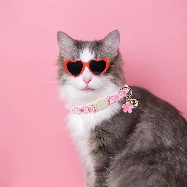 Alt view image 5 of 6 - Cat Collar, 2Pack Pink Floral and Purple Plaid Pattern Cats Collars-Cute Summer Breakaway Cat Collar with Bell & Pendant, Pretty Plaid Kitten Collars for Girl & Boy Cats, 7-12Inch