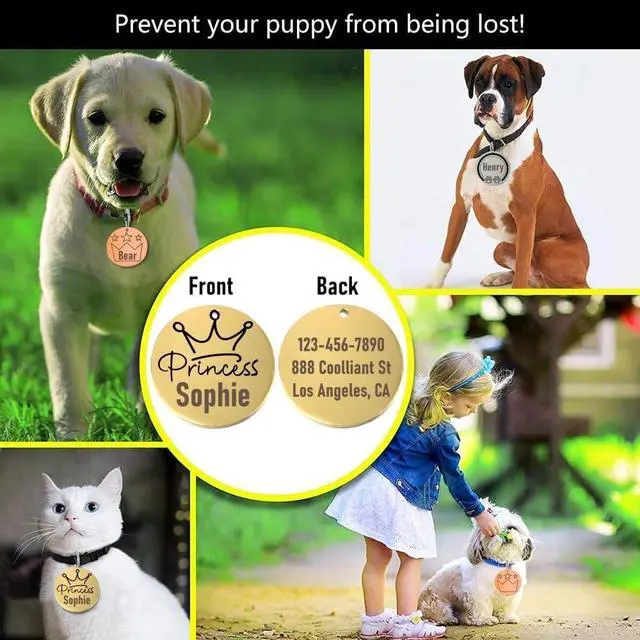 Alt view image 3 of 7 - Laser Engraved Stainless Steel Pet Name Tags Personalized on Both Sides for Pet Collar - Dog ID Tag, Dog Name Tag, Cat ID Tag, Cat Name Tag (Gold - Princess, Small)