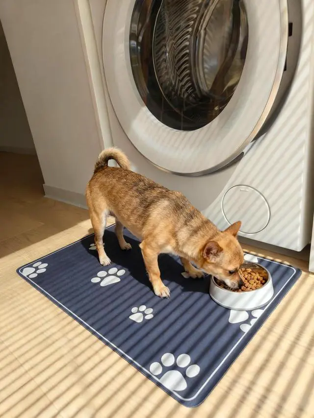 Alt view image 5 of 5 - Dog Food Mat-Absorbent Dog Mat for Food and Water, No Stains Quick Dry Cat Food Bowl Mat with Footprints for Messy Drinkers''16 * 24''