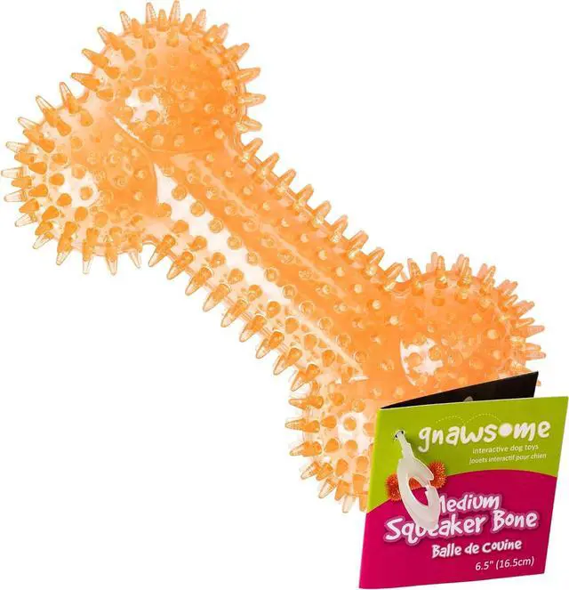 Main image of Dog Toys - 6.5 Spiky Squeaker Bone - Medium - Dental & Gum Wellness - Stimulating Fun - Hidden Squeaker - Durable for Heavy Chewers - 100% BPA-Free - Assorted Colors