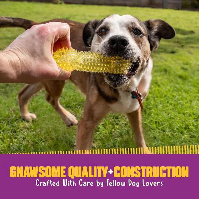 Alt view image 7 of 7 - Dog Toys - 6.5 Spiky Squeaker Bone - Medium - Dental & Gum Wellness - Stimulating Fun - Hidden Squeaker - Durable for Heavy Chewers - 100% BPA-Free - Assorted Colors