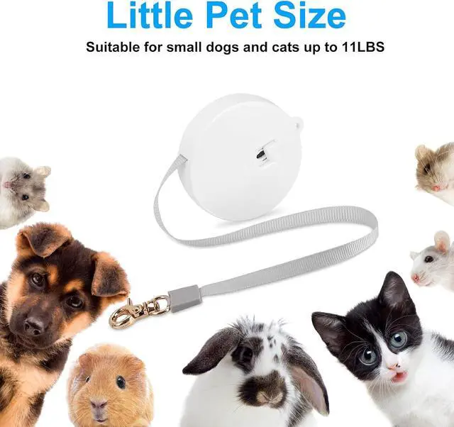 Alt view image 4 of 6 - Retractable Dog Leash for Small Dogs Cats up to 11lbs with 6.5ft Anti-Pull Strong Nylon Tape, Hands Free, Mini and Portable Walking Leash with Wrist Strap, One-Hand Brake, White Round