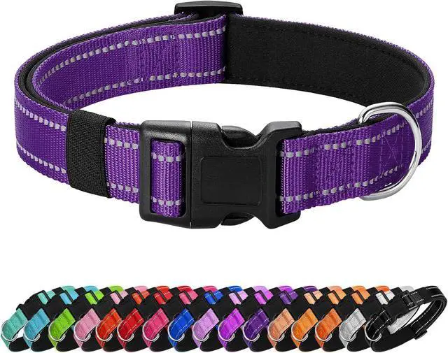 Main image of Reflective Dog Collar Padded with Soft Neoprene Breathable Quick Release Basic Dog Collars for Medium Dogs Purple Girl