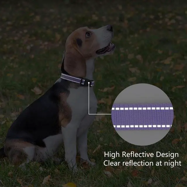 Alt view image 5 of 6 - Reflective Dog Collar Padded with Soft Neoprene Breathable Quick Release Basic Dog Collars for Medium Dogs Purple Girl