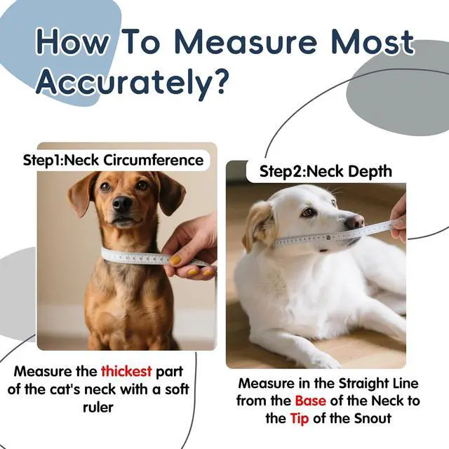 Alt view image 3 of 7 - Soft Dog Cone Collar Alternative, Comfortable Elizabethan Dog Neck Pillow Cone for Medium Dogs (Maltese Bichon), Protective Adjustable Head Recovery Cone After Surgery Anti Licking