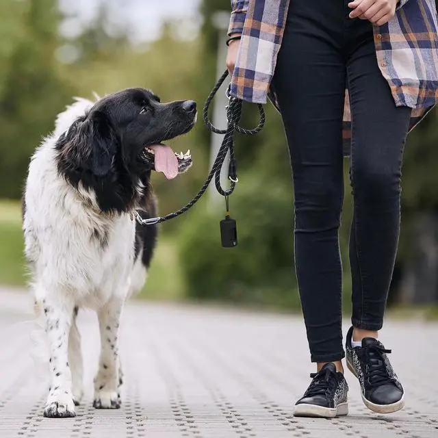 Alt view image 4 of 6 - Retractable Dog Poop Bag Holder with 15 Waste Bags | Stretchy lanyard, fits all dog leashes, compatible with hollow cardboard core waste bag rolls, portable for daily dog walking