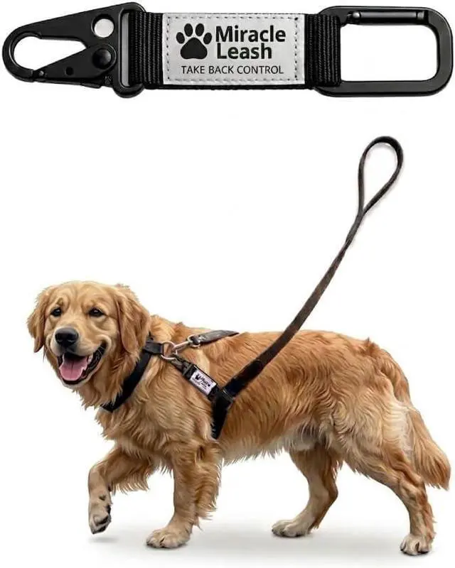 Main image of NoPull Dog Leash Attachment, Chest Loop Design | Headcollar alternative without face straps; humane training tool that improves walking control and reduces neck pressure