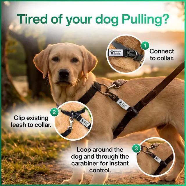 Alt view image 6 of 7 - NoPull Dog Leash Attachment, Chest Loop Design | Headcollar alternative without face straps; humane training tool that improves walking control and reduces neck pressure