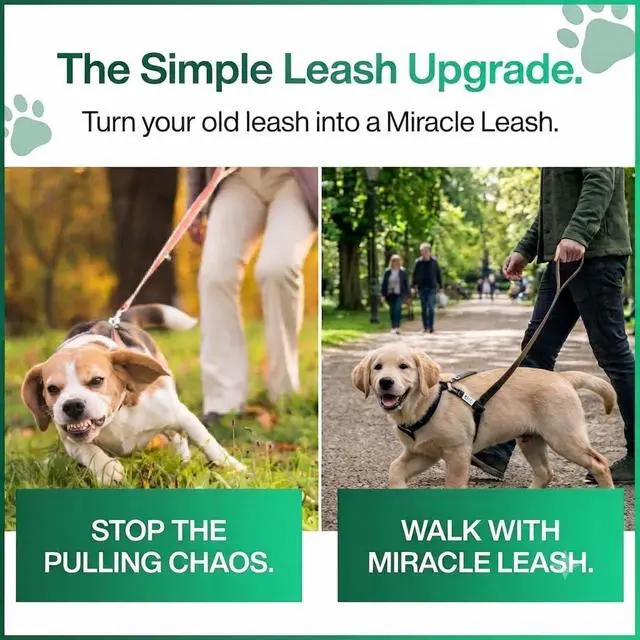 Alt view image 7 of 7 - NoPull Dog Leash Attachment, Chest Loop Design | Headcollar alternative without face straps; humane training tool that improves walking control and reduces neck pressure