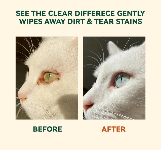 Alt view image 4 of 7 - Eye Wipes for Dogs & Cats, Gently Remove Tear Stains, Debris & Discharge, Hypoallergenic Pet Eye Cleaner for Eyes, Wrinkles & Face, Unscented with Natural Coconut Oil & Provitamin B5, 100ct | Tear Sta
