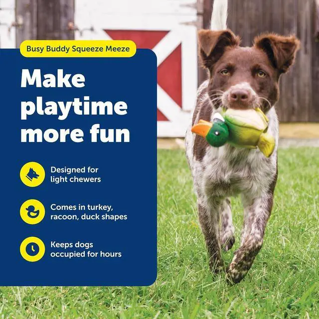 Alt view image 2 of 6 - Animal Squeak Dog Toy, Duck | Pop-Out Tail Feature Extends When Squeezed, Realistic Colors and Features, Irresistible Squeak for Hours of Engaging Play