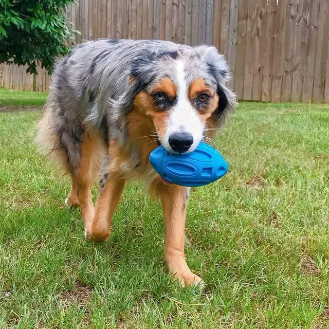 Alt view image 7 of 7 - Squeaky Dog Toys for Aggressive Chewers: Rubber Puppy Chew Ball with Squeaker, Almost Indestructible and Durable Pet Toy for Medium and Large Breed