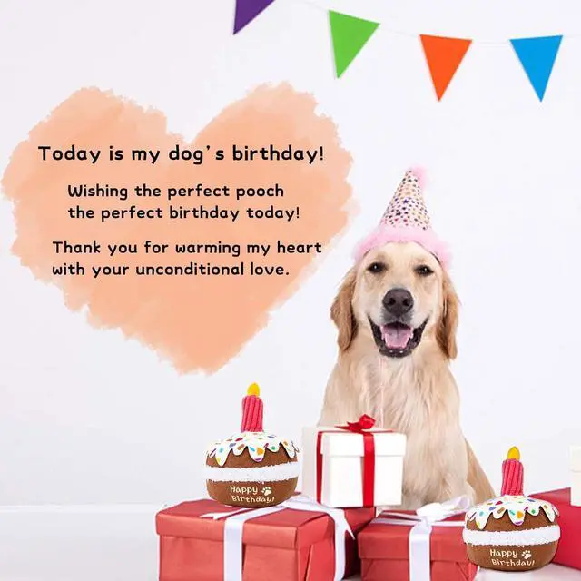 Alt view image 6 of 6 - Dog Birthday Toy, Birthday Cake Toys for Puppy Gifts, Squeaky Plush Dog Toys | Perfect for Birthday Party, Interactive Play, Suitable for Small Medium Breed Dogs