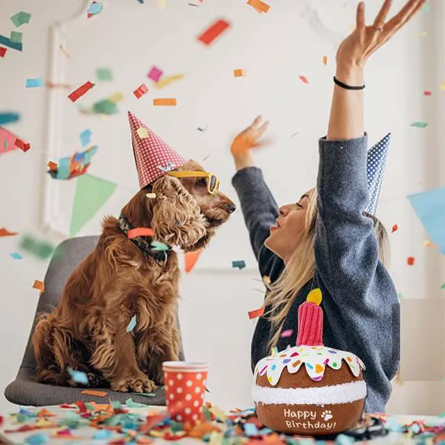 Alt view image 5 of 6 - Dog Birthday Toy, Birthday Cake Toys for Puppy Gifts, Squeaky Plush Dog Toys | Perfect for Birthday Party, Interactive Play, Suitable for Small Medium Breed Dogs