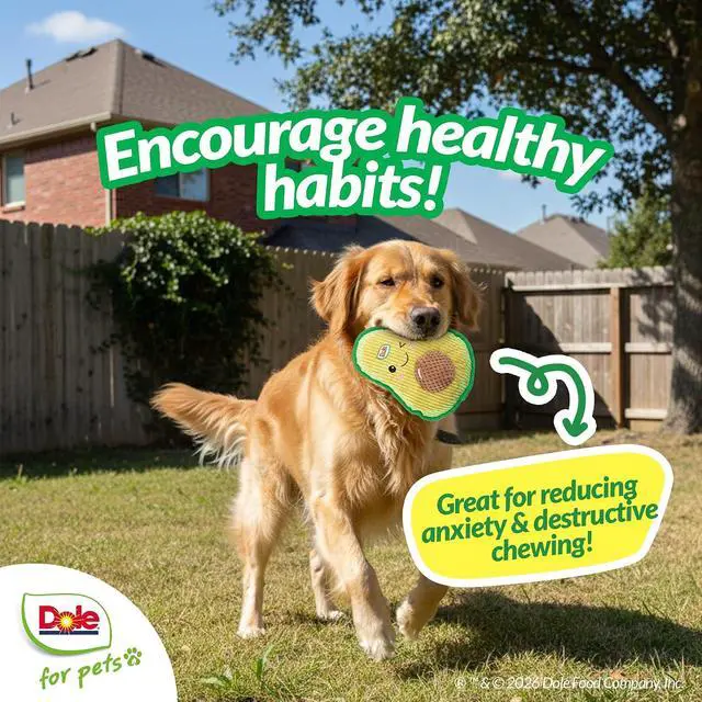 Alt view image 5 of 7 - Dog Toys for Small Dogs and Medium Dogs, Squeaky Dog Toys Plush Avocado, Stuffed Toys for Dogs