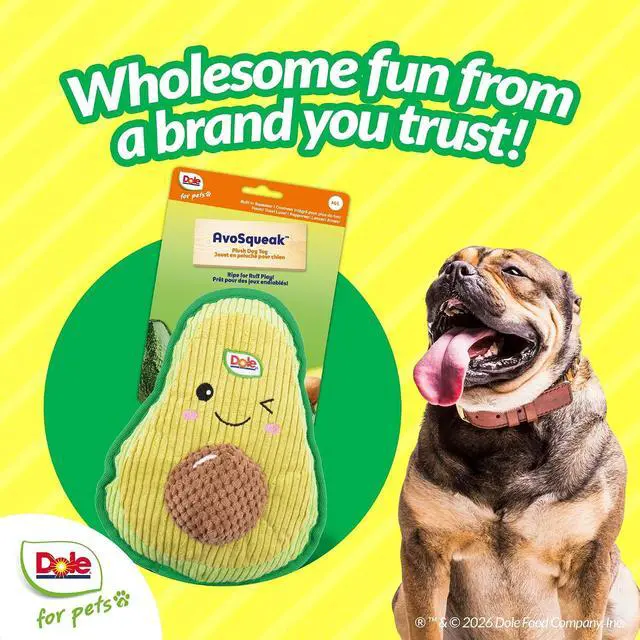 Alt view image 7 of 7 - Dog Toys for Small Dogs and Medium Dogs, Squeaky Dog Toys Plush Avocado, Stuffed Toys for Dogs