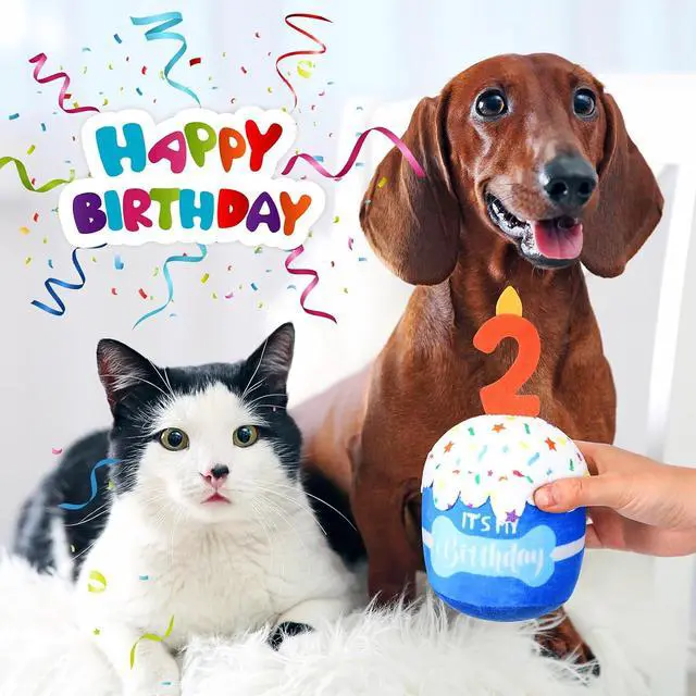 Alt view image 4 of 6 - Dog Birthday Cake Toy Squeaky Plush Toy for Girl Boy Gifts, Chew Accessories for Dog Birthday Party Decor Favor for Large, Medium and Small Dogs(2nd,Blue)