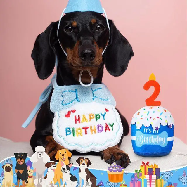 Alt view image 5 of 6 - Dog Birthday Cake Toy Squeaky Plush Toy for Girl Boy Gifts, Chew Accessories for Dog Birthday Party Decor Favor for Large, Medium and Small Dogs(2nd,Blue)