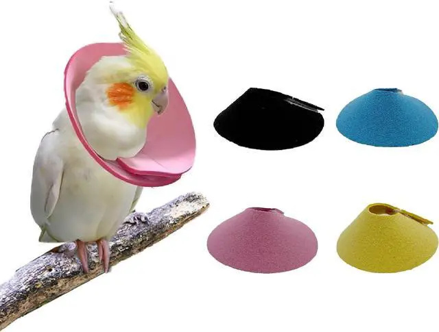Main image of 4 Pcs Bird Cone Collar, Pet Parrot Anti-bite Elizabethan Collars, Bird Collars for Feather Plucking for Lovebird Budgerigar Cockatiel Cockatoo Parrots (Mix Colors)
