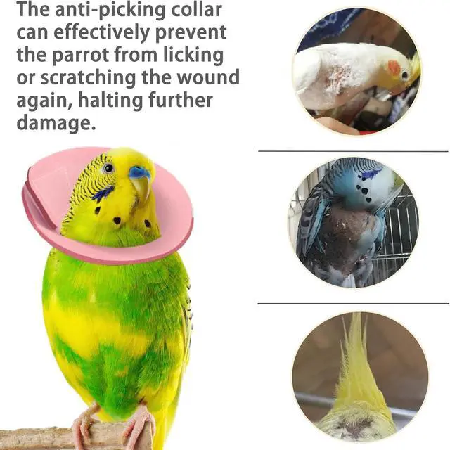 Alt view image 5 of 7 - 4 Pcs Bird Cone Collar, Pet Parrot Anti-bite Elizabethan Collars, Bird Collars for Feather Plucking for Lovebird Budgerigar Cockatiel Cockatoo Parrots (Mix Colors)